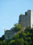 Burg- und Schlossruine Thernberg (Thernberg)